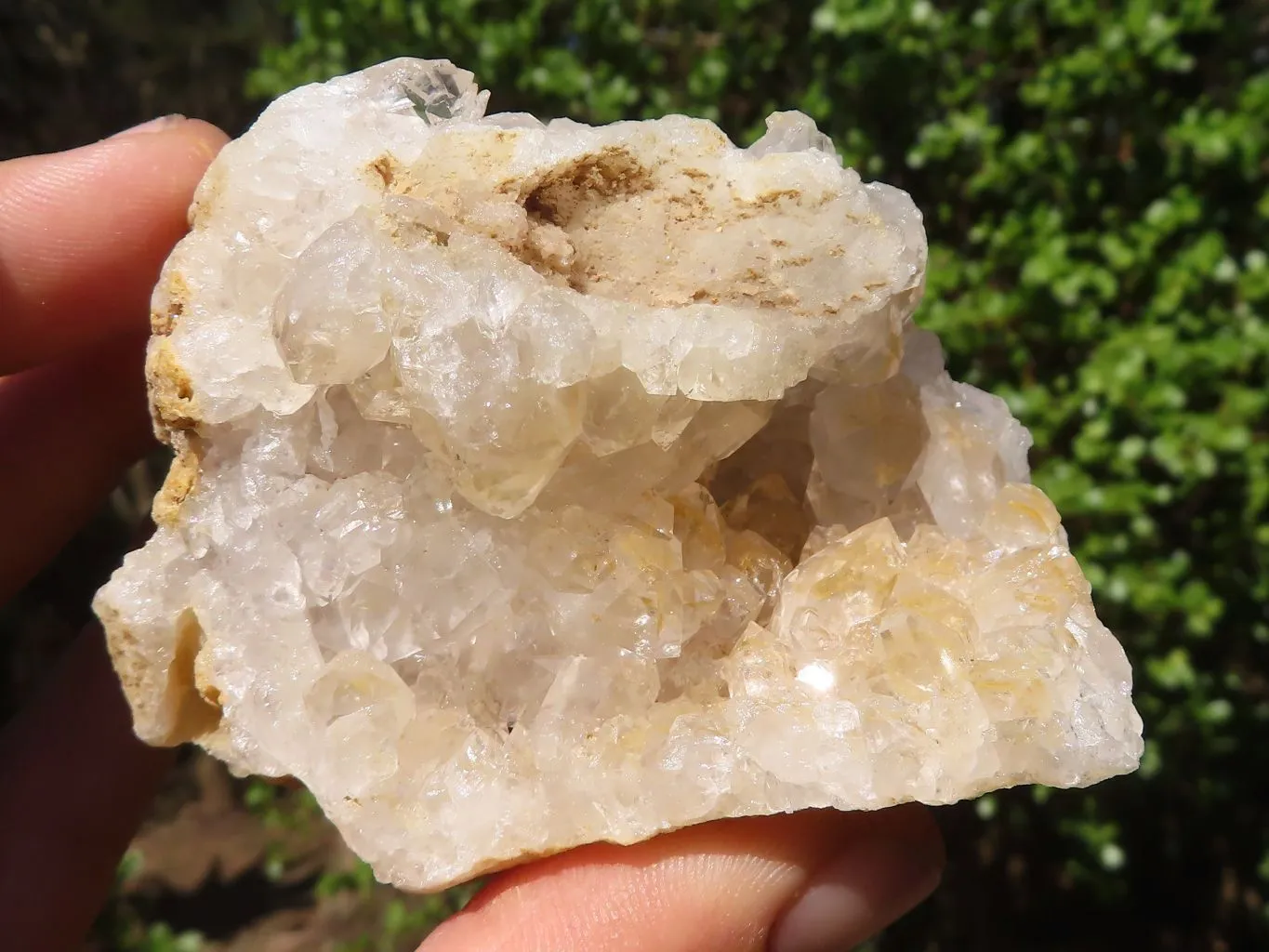 Natural Limonite Quartz Clusters With Goethite Inclusions x 12 From Solwezi, Zambia