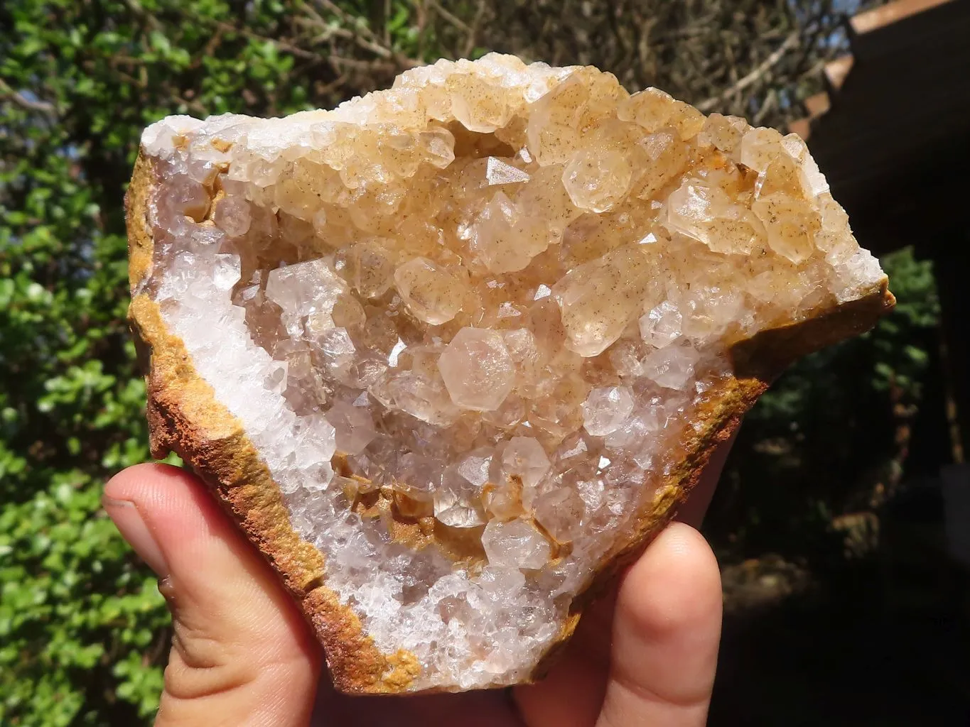 Natural Limonite Quartz Clusters With Goethite Inclusions x 12 From Solwezi, Zambia