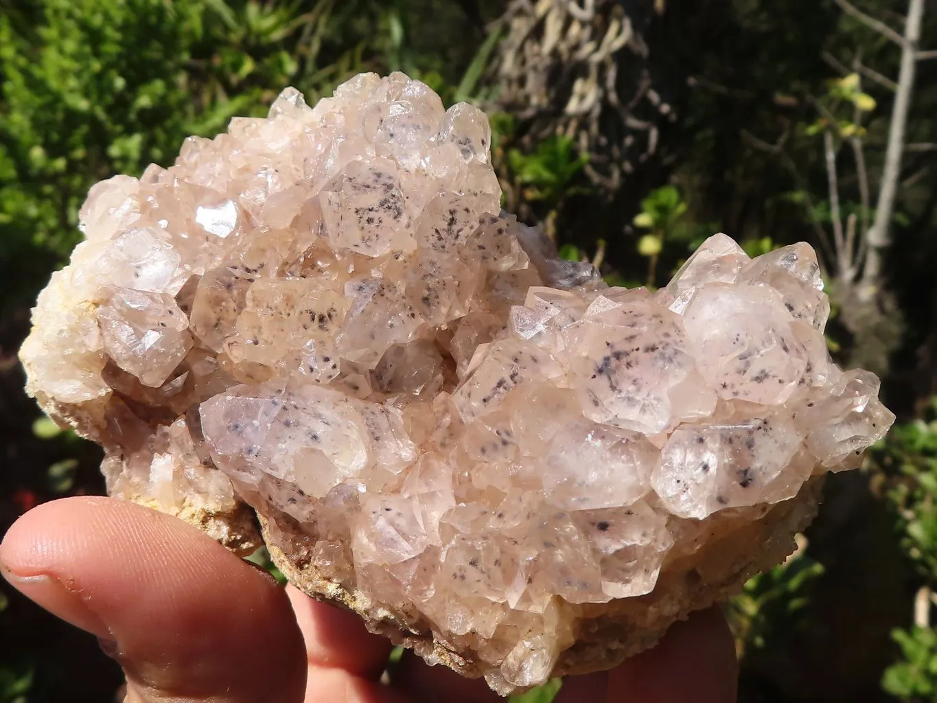 Natural Limonite Quartz Clusters With Goethite Inclusions x 12 From Solwezi, Zambia