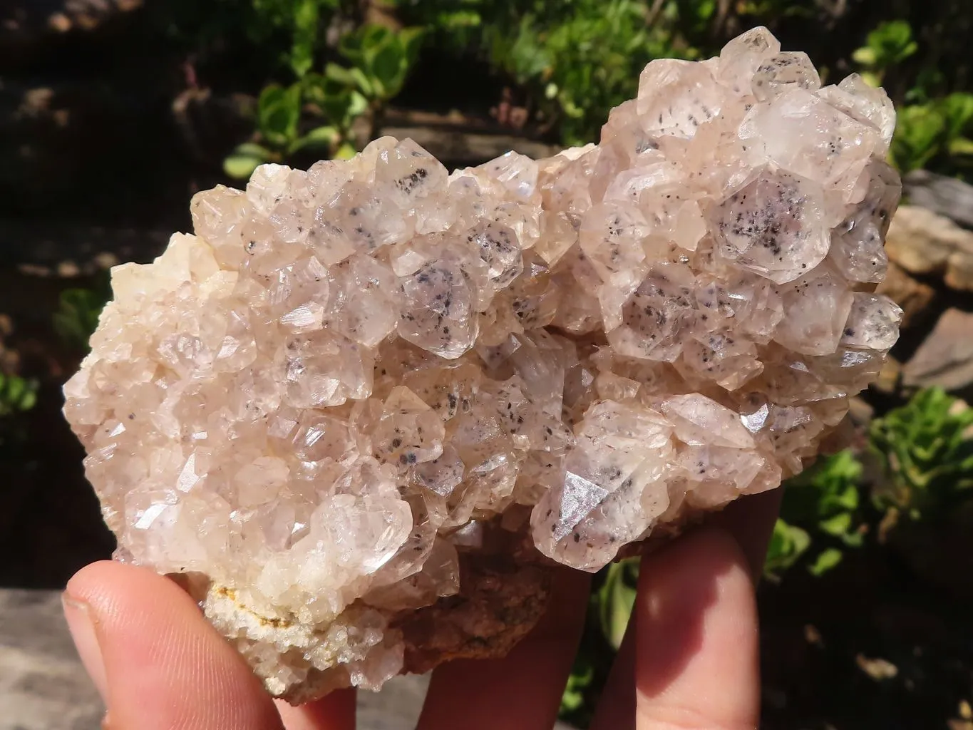 Natural Limonite Quartz Clusters With Goethite Inclusions x 12 From Solwezi, Zambia