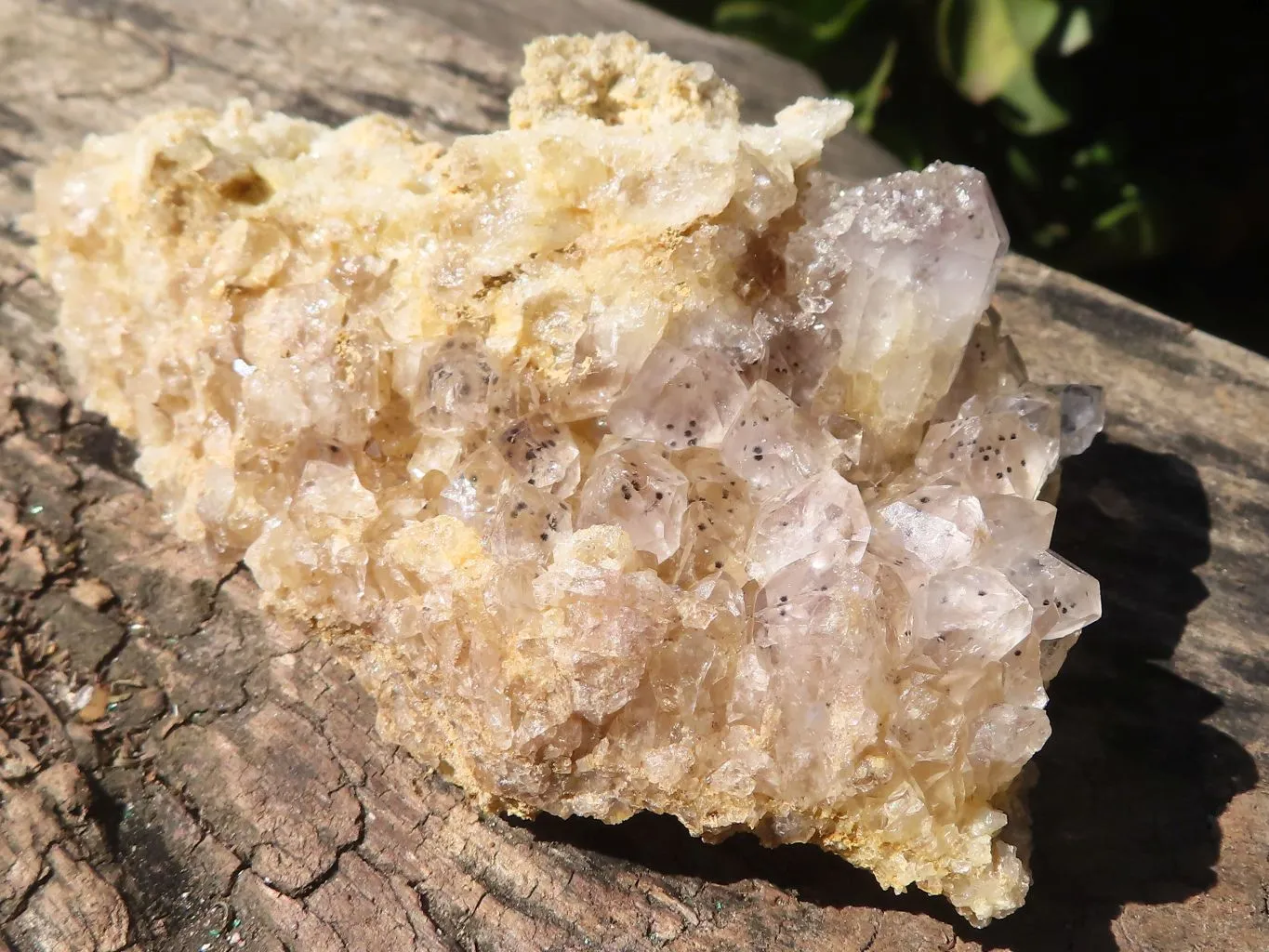 Natural Limonite Quartz Clusters With Goethite Inclusions x 12 From Solwezi, Zambia