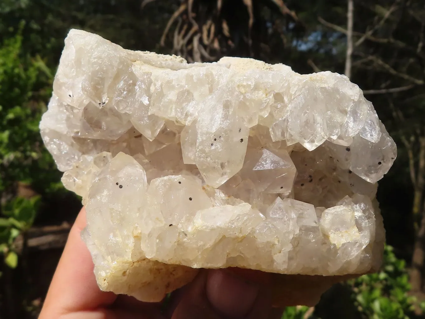 Natural Limonite Quartz Clusters With Goethite Inclusions x 12 From Solwezi, Zambia